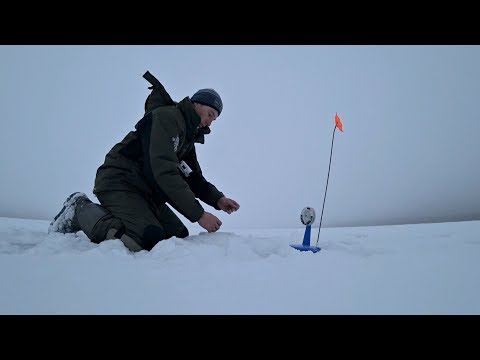 Флаги встают друг за другом!! Когда подсекать Щуку?! Зимняя рыбалка.