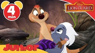 The Lion Guard | The Search for Utamu | Disney Junior UK