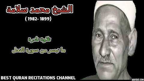 الشيخ محمد سلامة - ما تيسر من سورة النحل