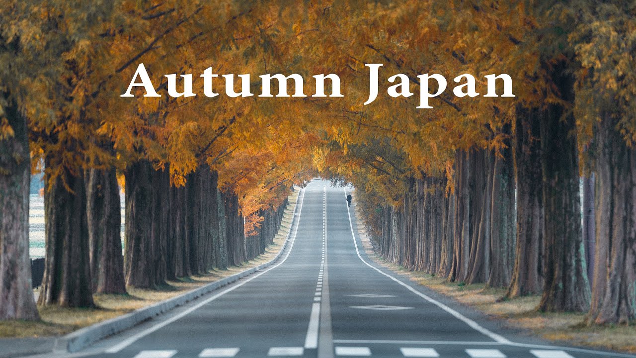 Осеннее фотопутешествие в горы Киото и Сиги