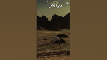 سورة الناس /قرآن كريم/  صحراء الجزائر/سياحة صحراوية #اكسبلور #quoran #travel #لايك #love #دويتو
