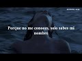 Aaryan Shah Renegade Sub Español Aaryan Shah Renegade Sub Español