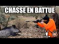 CHASSE EN BATTUE - NOMBREUX TIRS DE SANGLIERS &amp; CHEVREUILS !