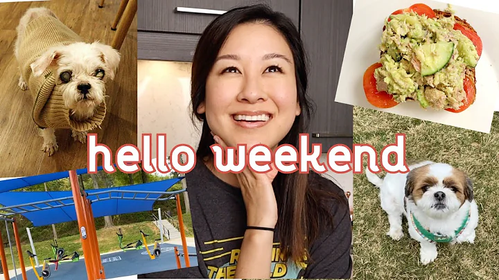 pupsitting, life reflection and more (a bit emotio...