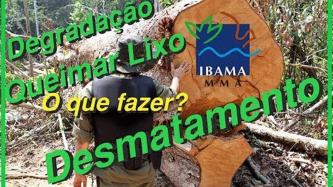 O que o Ibama pode fazer?