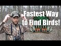 How to QUICKLY Find and Pattern Turkeys | Turkey Hunting