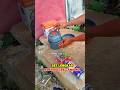 alat masak lengkap outdoor