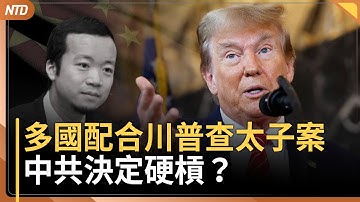 中共硬槓？宣稱美竊太子集團陳志比特幣｜美國最大航母赴拉美緝毒 馬杜洛緊張｜四川阿壩州紅旗特大橋 垮塌畫面瘋傳｜IPAC宣言力阻中共跨國鎮壓｜20251112(三)｜ #新唐人電視台