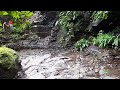 Naturaleza rinconsitos de el salvador santa ana