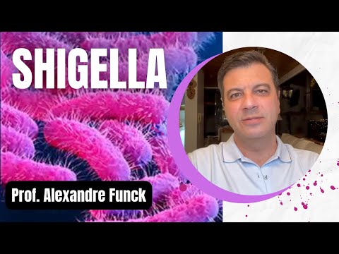 MICROBIOLOGIA - SHIGELLA (SHIGELOSE/DISENTERIA) - PROF. ALEXANDRE FUNCK