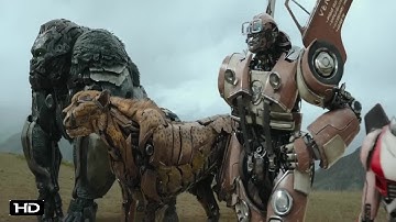 Transformers & G.I. Joe