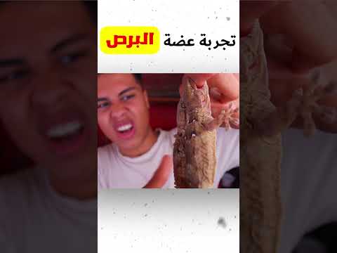 هو البرص سام ولا لا 