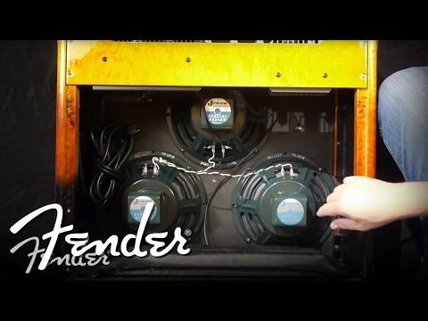 how-to-|-changing-amplifier-speakers-|-fender