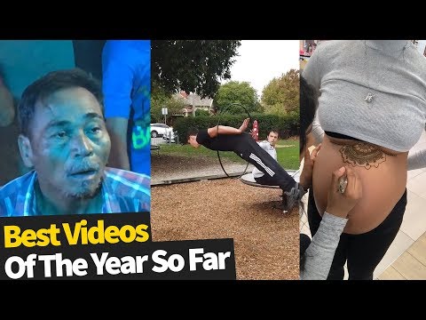 50 Best Viral Videos Of The Year, So Far (2019)