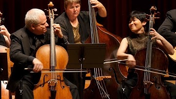 VIVALDI - Concerto for Two Cellos – René Schiffer, Mimé Brinkmann – Apollo