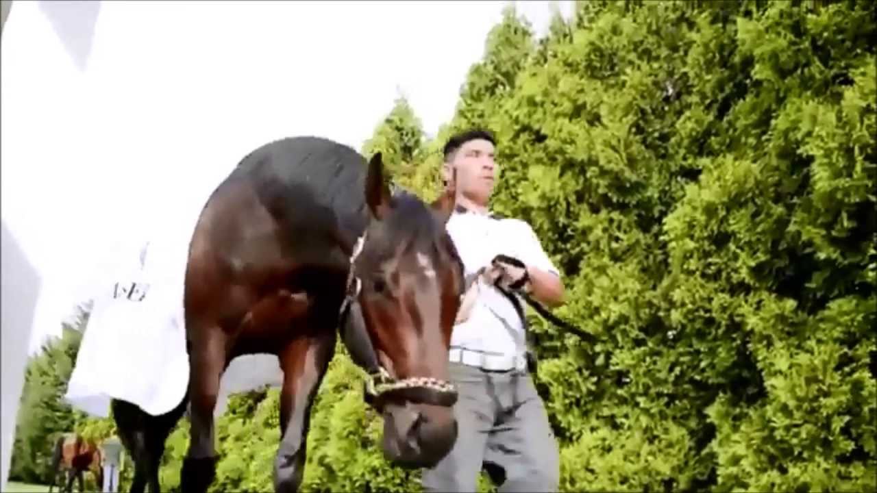 Orb.Amazing horse. YouTube