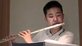 2nd mov - Telemann Methodical Flute Sonata in A major ~ Vivace