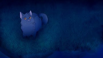 MAP // Greystripe and Silverstream - I Will Be There Part #11 // HulluMel