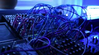 Semi-Generative Modular Patch ft. NDLR + Data Bender + Mimeophon + Subharmonicon + Desmodus Versio