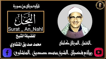 سورة النحل كامله | المصحف المرتل للشيخ محمد صديق المنشاوي | جوده عاليه HD .