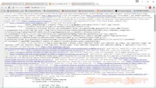 Minify atau Compress Wordpress Script