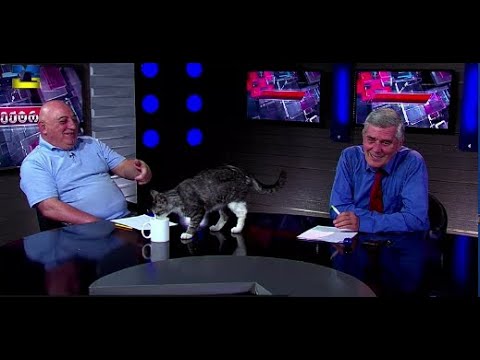 \"ქაქუცას\" შეჭრა სტუდიაში N2