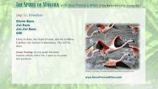 The Spirit of Mantra: 21-Day Mantra Meditation Journey Vol. II - Day 11 by Deva Premal & Miten 5,034 views 1 year ago 11 minutes, 34 seconds