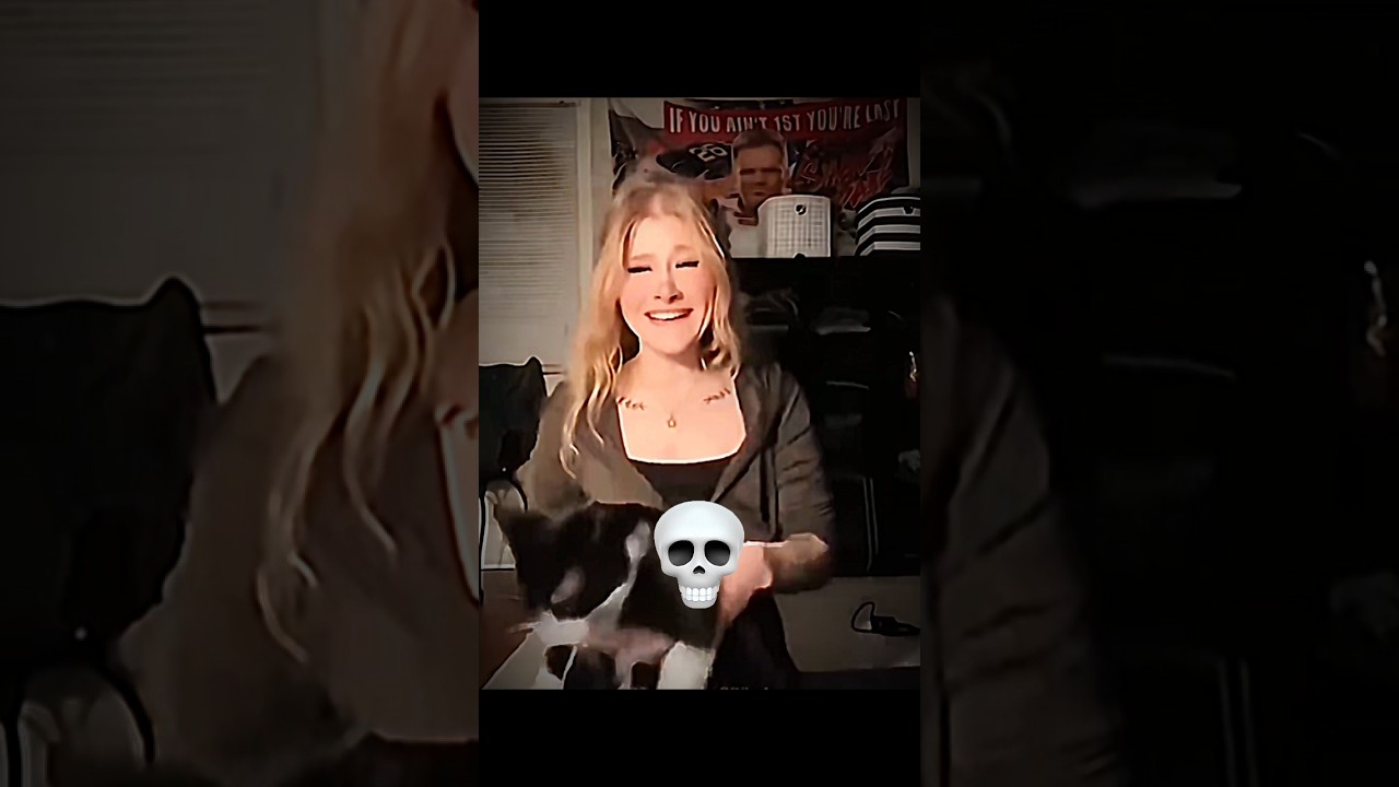 Cats can't camera shy ☠️