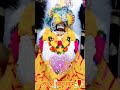 जय श्री खाटू श्याम 🌹🙏