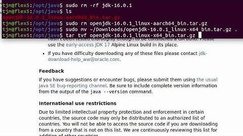 Install OpenJDK 16 Ubuntu
