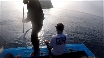 Câu Jig cá bè trang tại hòn Trứng Côn Đảo