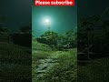 Beautiful Nature Relaxation Film with Birds Singing | 4K HDR