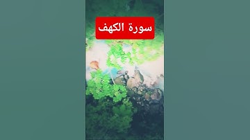 سورة الكهف #اكسبلور #ترند#القران الكريم
