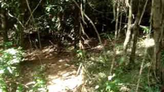 A First Hike: Pagat