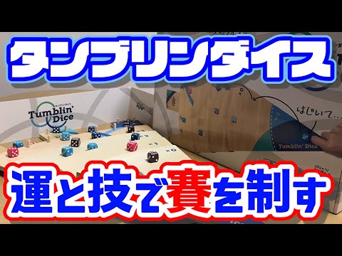 【タンブリンダイス】運も技術も必要!敵のダイスは弾いて吹っ飛ばせ!【ボードゲーム】