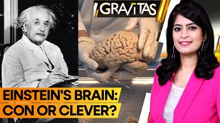 Gravitas | Chinese man invents Einstein's Brain for 'emotional support' | WION