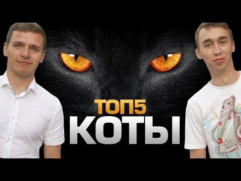 ТОП5 Пород КОТОВ