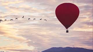 Balloon Voyage