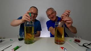 Sprawdzamy Lifehack Z Tiktoka - Lampa Lawowa