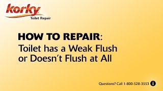 Toilet has Weak Flush or Doesn’t Flush at All