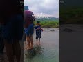 indahnya masa masih kecil#bocil #hiburan#sungai#likeandsubscribe#shortvideo#yotubeshorts