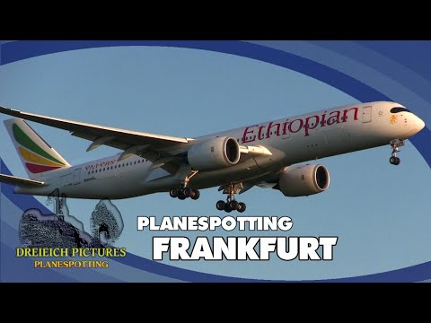 Planespotting Frankfurt Airport | Mai 2024 | Teil 1