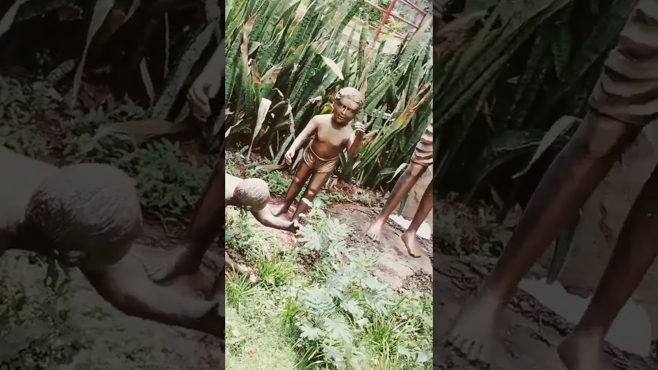 human life from birth to death 