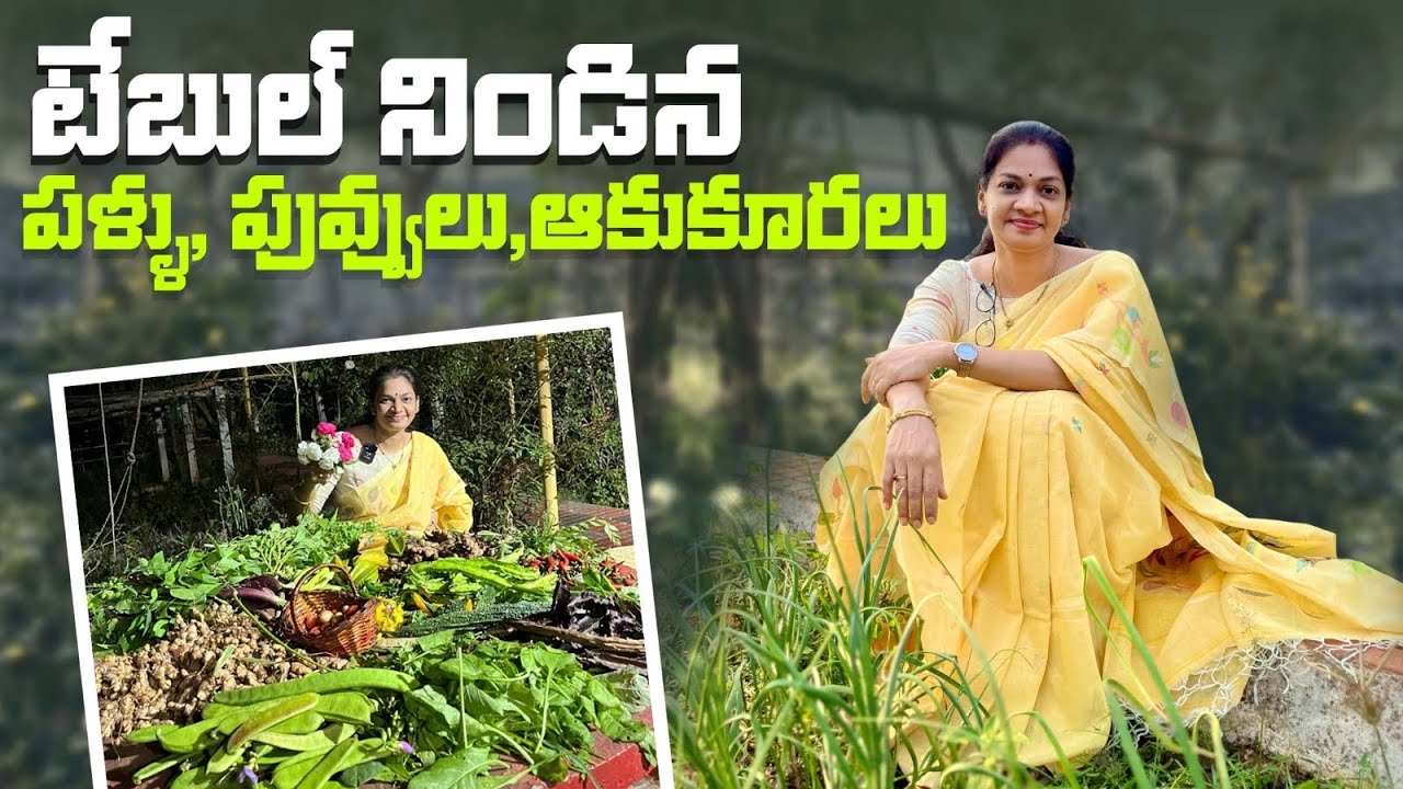 Farm Harvest/ప్రశాంతం గా సాగిన ఫార్మ్ హార్వెస్ట్ @MADGARDENER