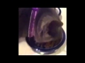 Proplan Commercial Proplan Commercial