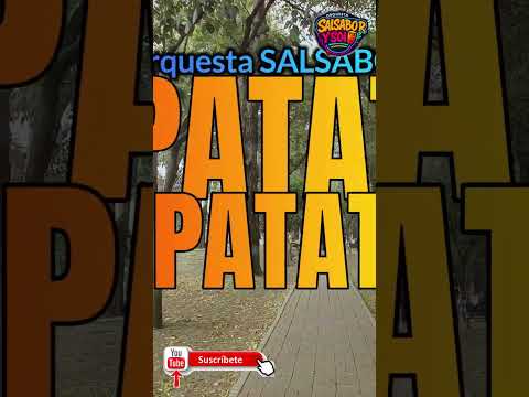 ESTRENO PATATIN PATATAN EN SALSA
