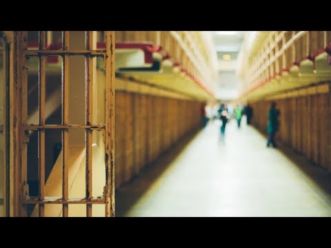 მსჯავრდებულთა პროფესიული განათლება და დასაქმება \"აგრო სიახლეებში\"