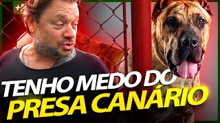 TEM COMO FUGIR DE UM CÃO DE GUARDA DE VERDADE? | RICHARD RASMUSSEN