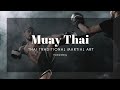 Muay thai  pride of thai culture  vietnamstay travel