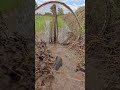 fishing  #fish #fishingvideo #fishinglife #fish